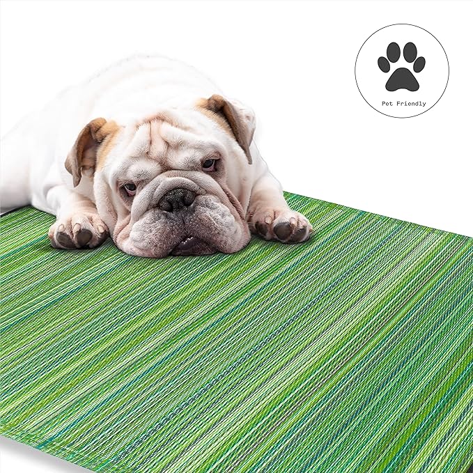 Fab Habitat Outdoor Rug - Waterproof, Fade Resistant, Crease-Free - Premium Recycled Plastic - Striped - Large Patio, Deck, Sunroom, Camping, RV - Cancun - Green - 6 x 9 ft