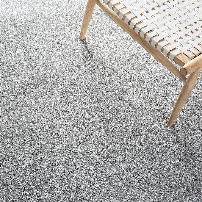 SAFAVIEH Plain and Solid Collection Area Rug - 6'7" x 9', Light Grey, Non-Shedding & Easy Care, Ideal for High Traffic Areas in Living Room, Bedroom (PNS320-4424)