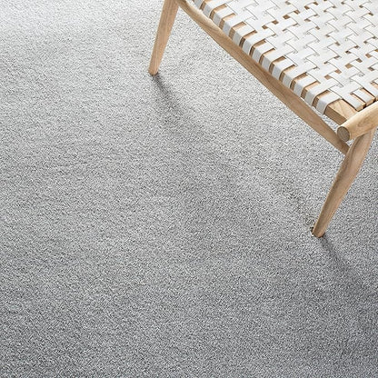 SAFAVIEH Plain and Solid Collection Area Rug - 6'7" x 9', Light Grey, Non-Shedding & Easy Care, Ideal for High Traffic Areas in Living Room, Bedroom (PNS320-4424)